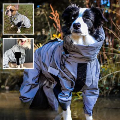 Imperméable Chien - Réflexion - Le monde de Philo