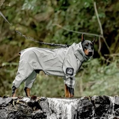 Imperméable Chien - Réflexion - Le monde de Philo