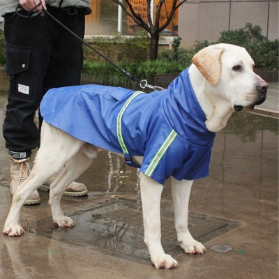impermeable-pour-chien-bleu