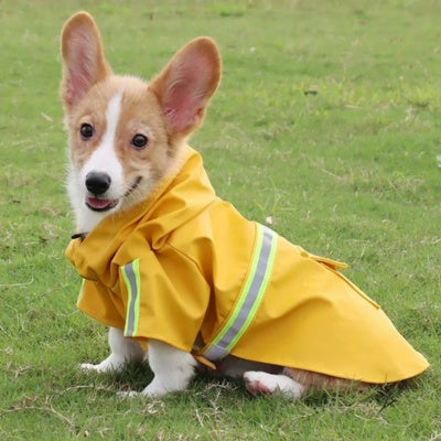 impermeable-pour-chien-impermeable