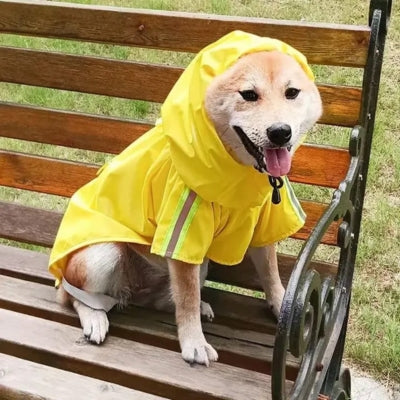 impermeable-pour-chien-jaune