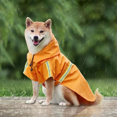 impermeable-pour-chien-respirant