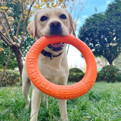 jouet-pour-chien-anneau