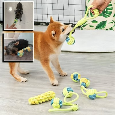 Jouets pour Chien - Tressé - Le monde de Philo