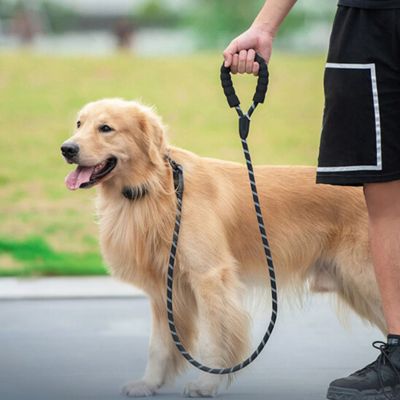 Longe pour Chien - Renforcée 2 Mètres - Le monde de Philo