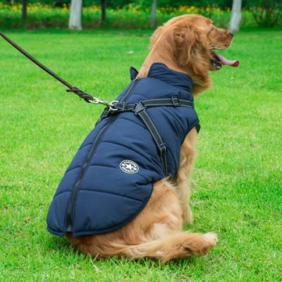 🎁-30% Black Friday -Manteau Pour Chien Frima ™ : Protection Optimale Contre le Froid