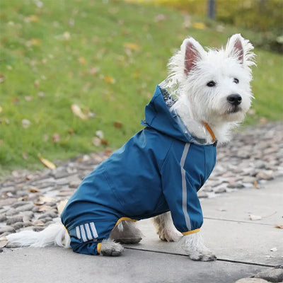 manteau-pour-chien-confortable