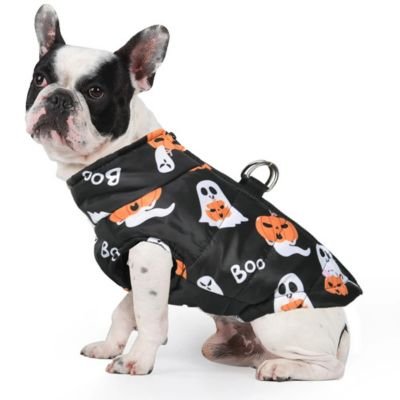 Manteau pour Chien d'Halloween - Le monde de Philo