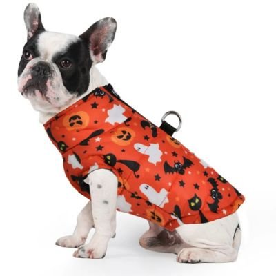 Manteau pour Chien d'Halloween - Le monde de Philo