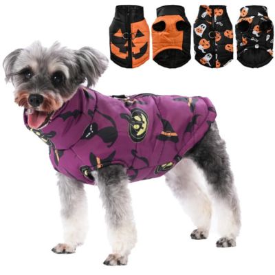 Manteau pour Chien d'Halloween - Le monde de Philo