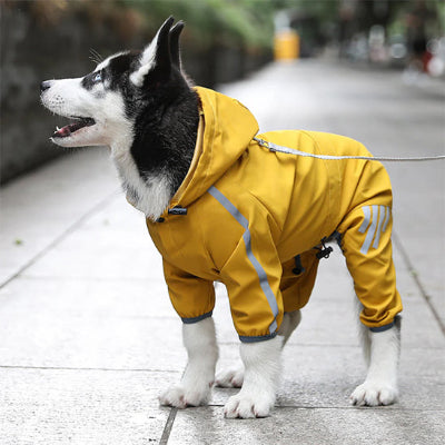 manteau-pour-chien-elegant