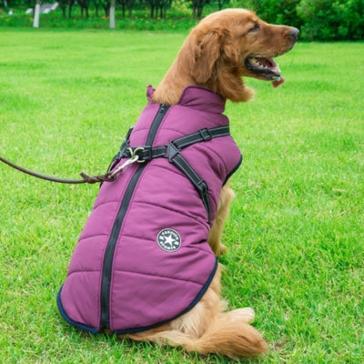 🎁-30% Black Friday -Manteau Pour Chien Frima ™ : Protection Optimale Contre le Froid