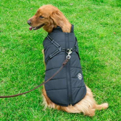 🎁-30% Black Friday -Manteau Pour Chien Frima ™ : Protection Optimale Contre le Froid