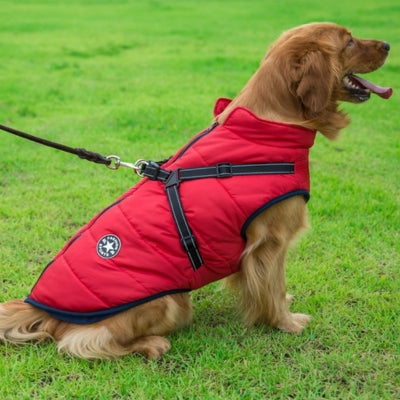 🎁-30% Black Friday -Manteau Pour Chien Frima ™ : Protection Optimale Contre le Froid