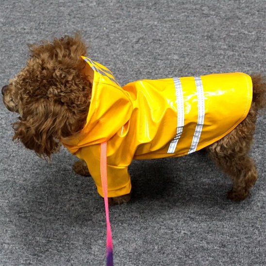 Manteau pour Chien