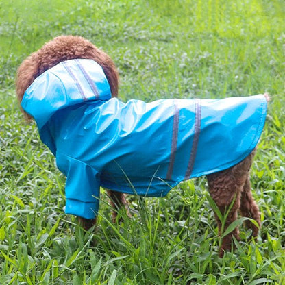 Manteau pour Chien