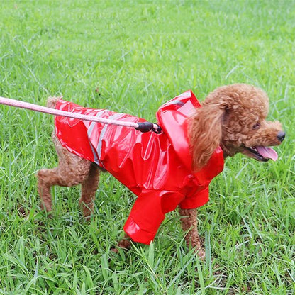 Manteau pour Chien