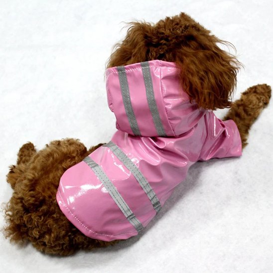 Manteau pour Chien