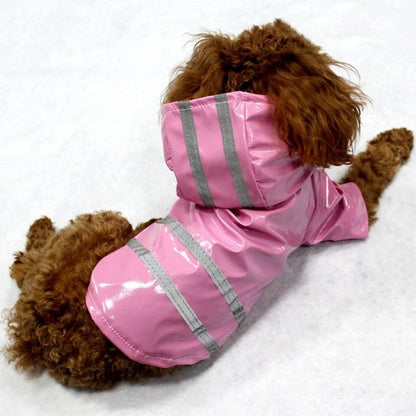 Manteau pour Chien