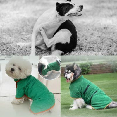 Peignoir pour Chien - CozyDry Vert