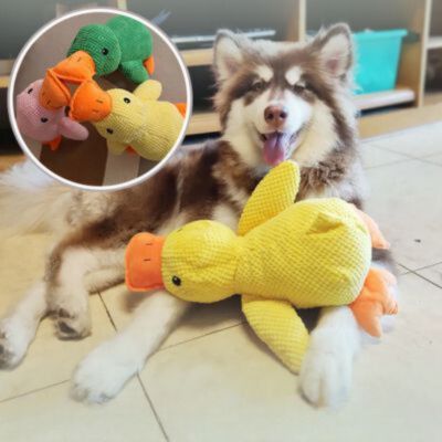 Peluche pour chien - Ducky - Le monde de Philo