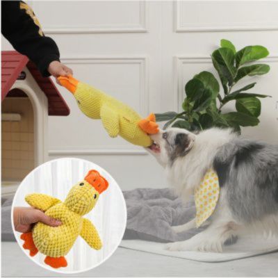 Peluche pour chien - Ducky - Le monde de Philo