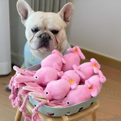 Peluche pour Chien - OctoRose - Le monde de Philo