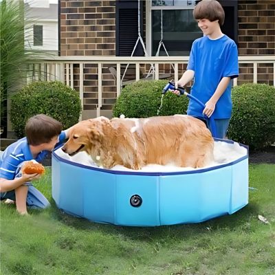 piscine-pour-chien-douche