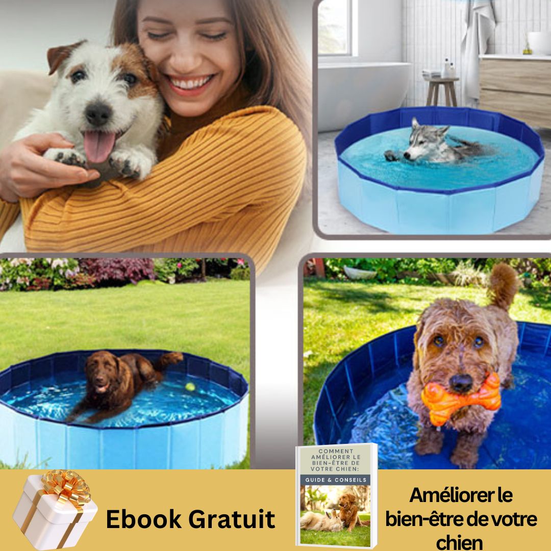 Piscine pour chien | Plouf™ - Le monde de Philo