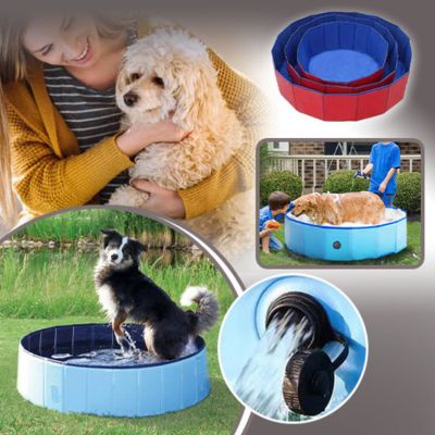 Piscine pour chien | Plouf™ - Le monde de Philo