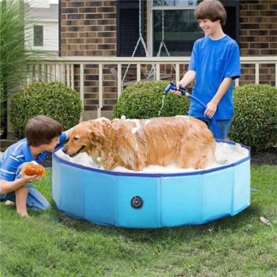 Piscine pour chien | Plouf™ - Le monde de Philo