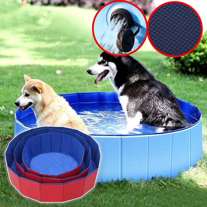 Piscine pour chien | Plouf™ - Le monde de Philo