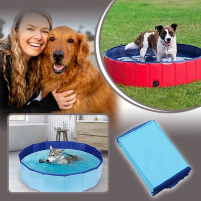 Piscine pour chien | Plouf™ - Le monde de Philo