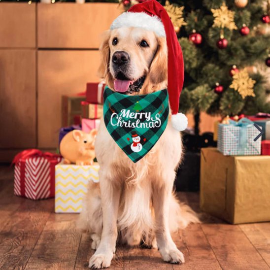 Bandana pour chien – Motif Buffalo Plaid festif de Noël