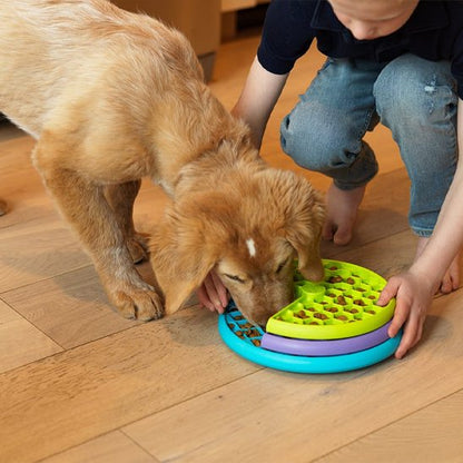 Gamelle Anti Glouton Chien – Pour des Repas Plus Lents, Plus Sains, Plus Sereins