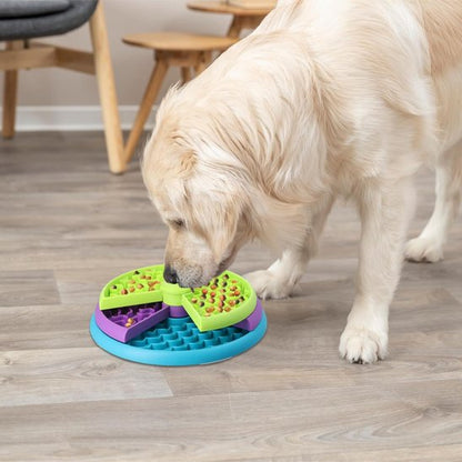 Gamelle Anti Glouton Chien – Pour des Repas Plus Lents, Plus Sains, Plus Sereins