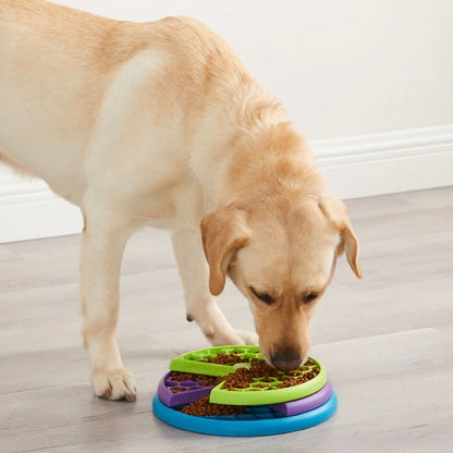 Gamelle Anti Glouton Chien – Pour des Repas Plus Lents, Plus Sains, Plus Sereins