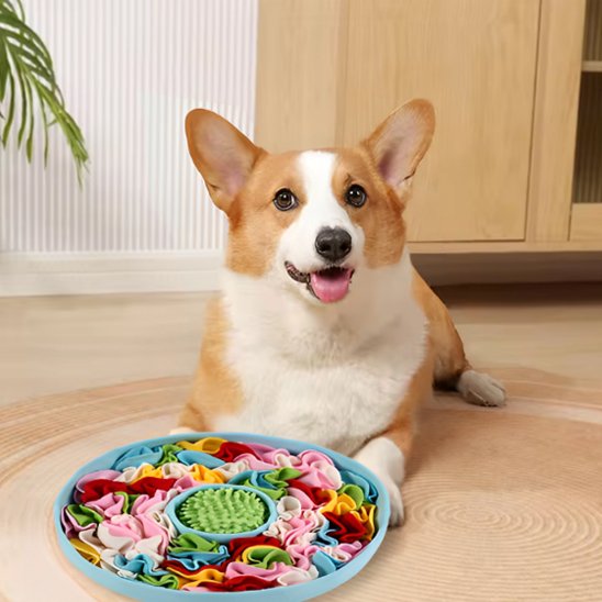 tapis de Fouille Chien – Stimule, Apaise et Ralentit l’Alimentation