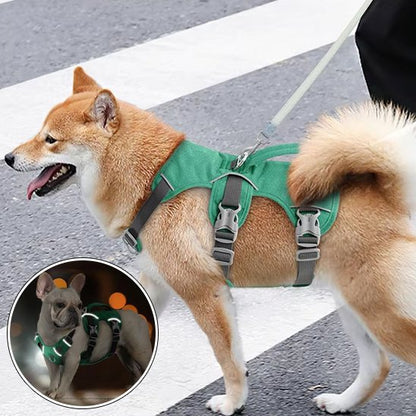 Harnais pour chien | ComfortWalk