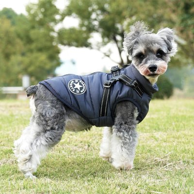 Manteau Chien | Snow