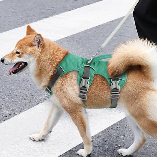 Harnais pour chien | ComfortWalk