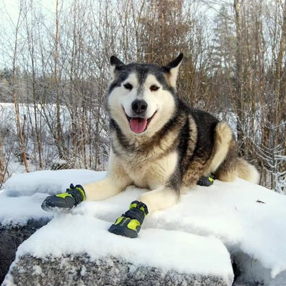 Chaussures chien | TerraProtect