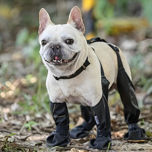 Bottes pour chien | Hautes
