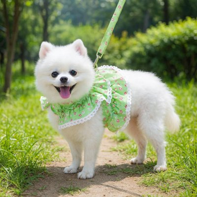 Harnais petit Chien | Queeny