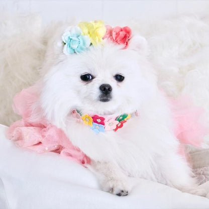 Collier pour chien | Fleura