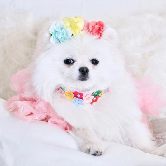 Collier pour chien | Fleura