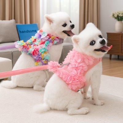 Harnais petit Chien | Queeny