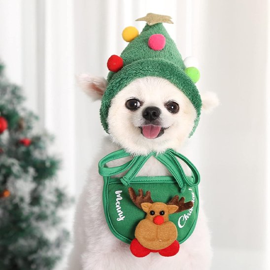 Déguisement chien | Adorable Noël