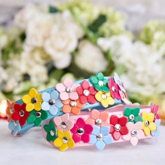 Collier pour chien | Fleura