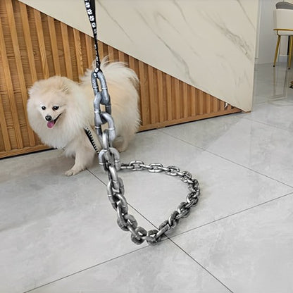 Laisse chien | Chaîne